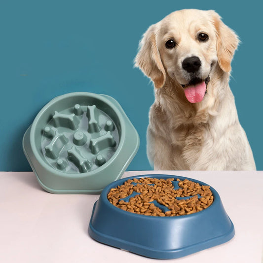 Pet Slow Eating  Food Bowl