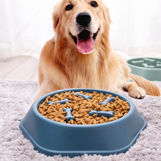Pet Slow Eating  Food Bowl